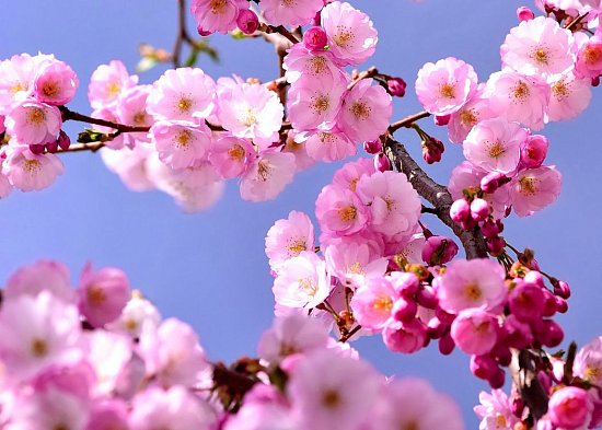 с Днем весны и труда!